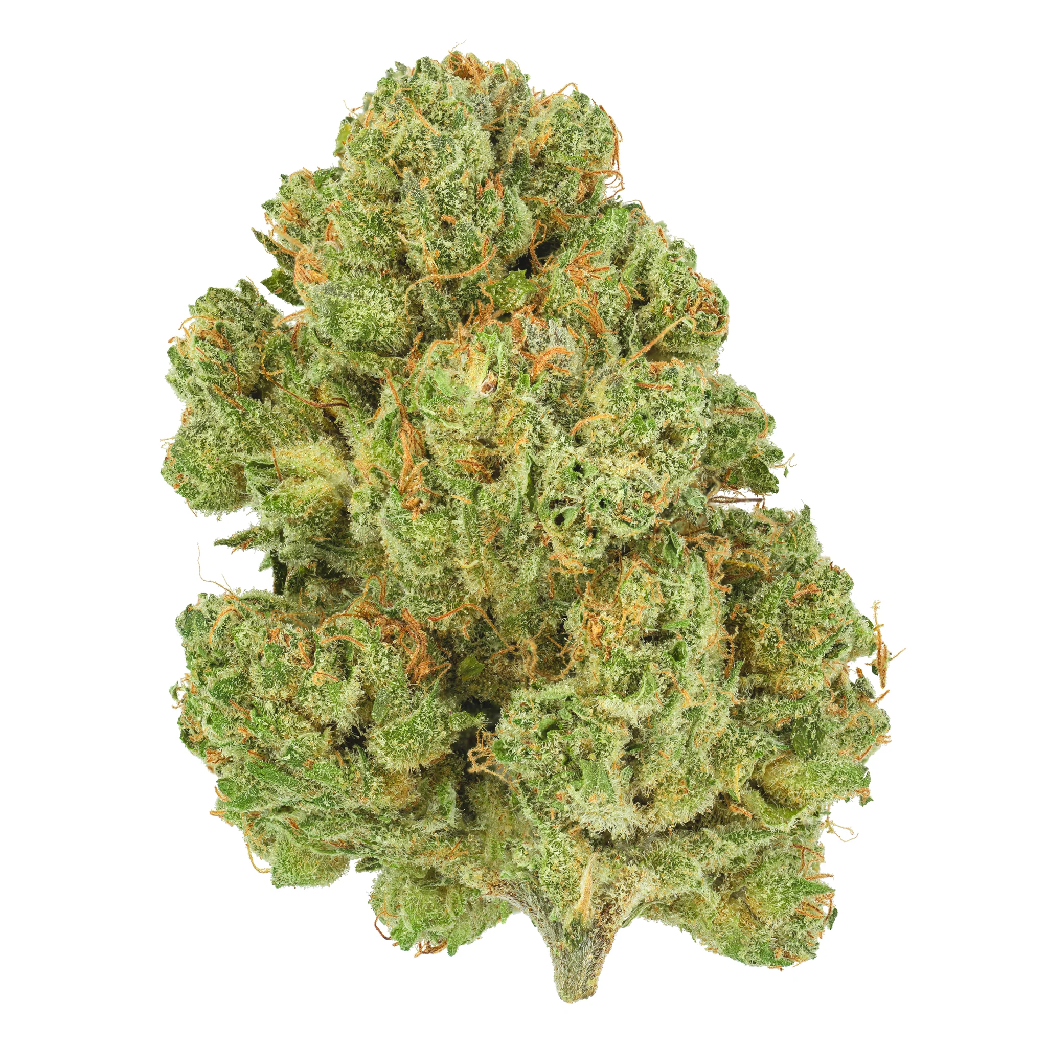 Moon Berry